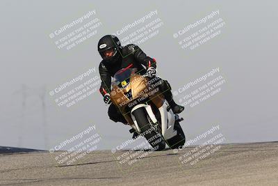 media/Feb-10-2023-TrackDaz (Fri) [[827c11d241]]/C Group/1245pm (Outside Grapevine)/
